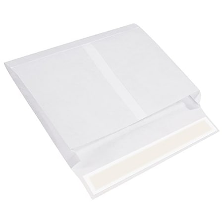 Bsc Preferred 10 x 15 x 2'' White Expandable Tyvek Envelopes, 100PK BUY00017051